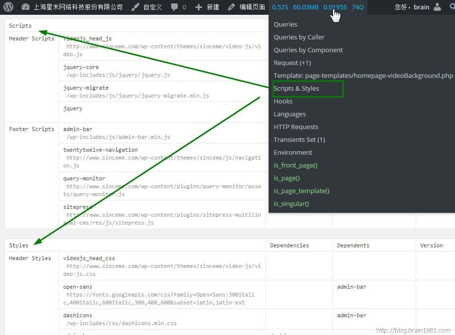 Query Monitor JS/CSS调用