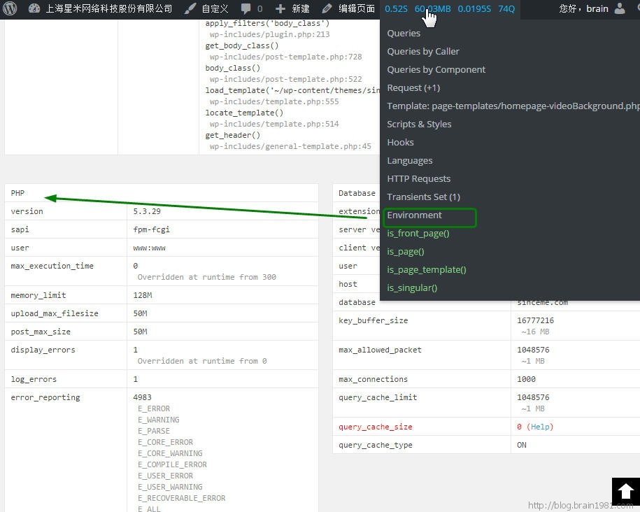 Query Monitor 服务器环境